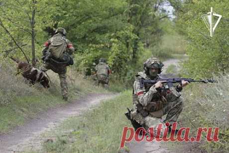 В ЛНР росгвардейцы нашли схрон с оружием и боеприпасами в подвале дома. В Луганской народной республике (ЛНР) росгврадейцы нашли схрон с оружием и боеприпасами в подвале дома. Сотрудники спецназа обследовали заброшенный дом. Там они нашли тайник, оставленный, предположительно, украинскими формированиями. Из него изъяли ручной противотанковый гранатомет с 30 выстрелами к нему.