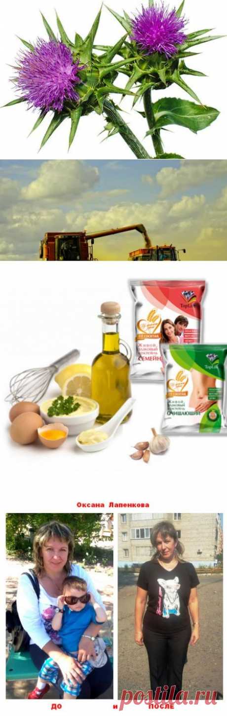✔ В состав коктейлей входят: 
• Цельные злаки – пшеница, кукуруза, гречка, овес 
• Отруби – пшеничные и овсяные 
• Фито компоненты – расторопша, топинамбур, семена льна, семена подсолнечника, семена тыквы. 
Благодаря такому составу, коктейли направлены не только на питание, а так же на поддержание здоровья.
