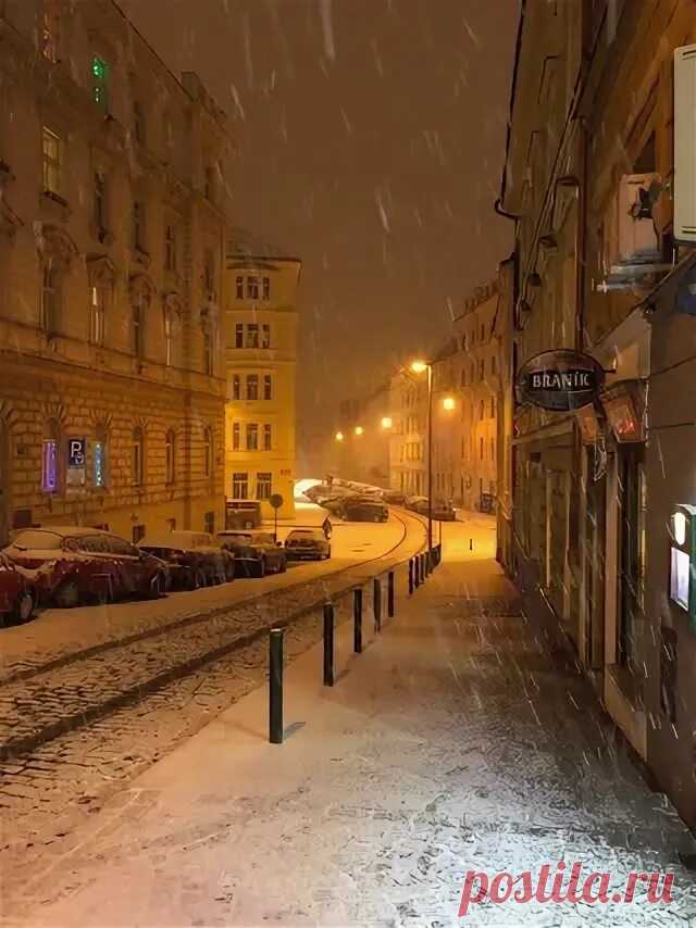 Яндекс Картинки: поиск похожих изображений