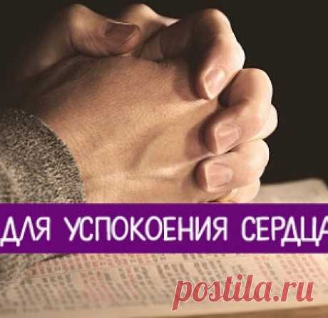 Про женщин...весело)) - МирТесен