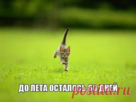 Цветы в Казани - Цветочная Фабрика