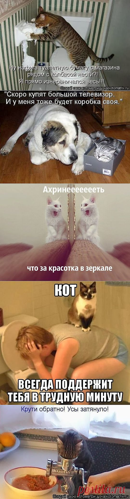 (+1) тема - Четвероногий юмор | ОБОРЖАКА ;)