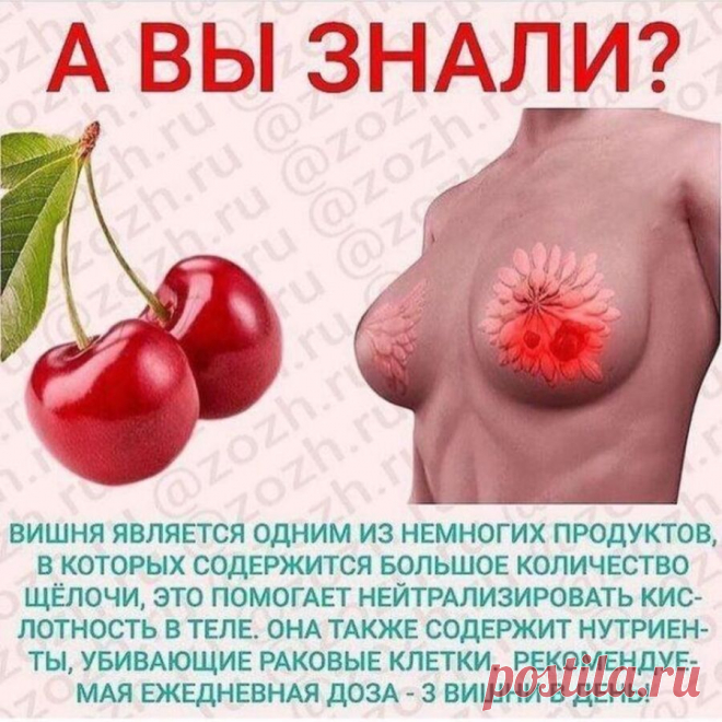 О пользе вишни