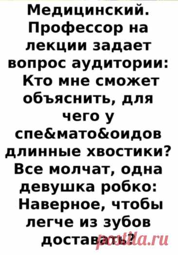 Выпуск №6336 - выпуск анекдотов сайта вокруг смеха