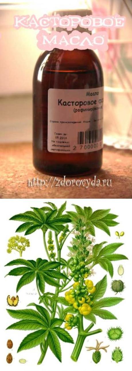 Касторовое масло для кожи. Применение в косметологии