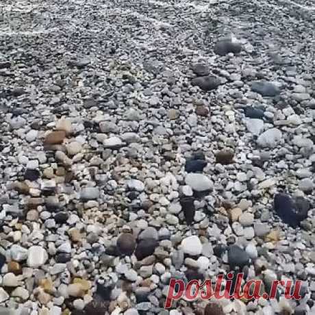 ...Монетку брошу в море на ПРОЩАНИЕ.. ...Монетку брошу в море на ПРОЩАНИЕ..
Я не скажу прощай, скажу лишь, до свиданья!
Мы свидимся ещё беспечный край 
Где на земле для всех открытый РАЙ
Где тёплая бежит ВОЛНА...на берег 
Где СЧАСТЬЕ... широко раскрыло ДВЕРИ..