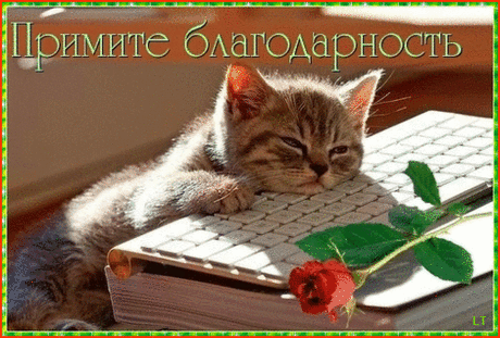 ЛУКОВАЯ ШЕЛУХА – КВЕРЦЕТИНА КЛАДЕЗЬ!