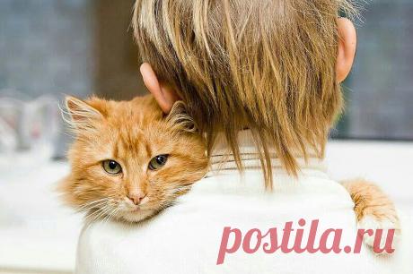 ((((Положительное Настроение))))
Петр Рубашкин