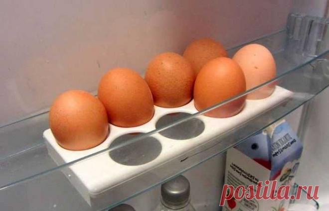Почему в большинстве холодильников лоток для яиц имеет именно 8 ячеек, а не 10 — Домашние
