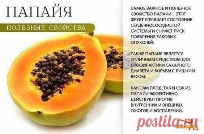 Папайя полезные свойства