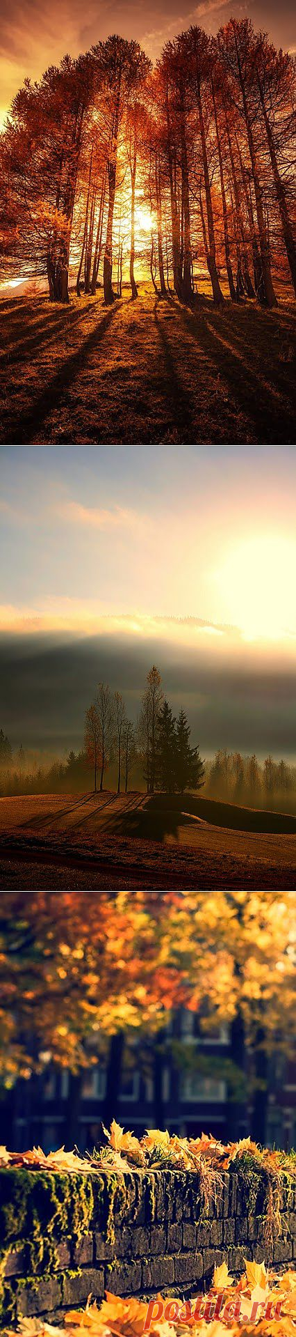 Лучшие фото – Пейзажи/Флора – Community – Google+