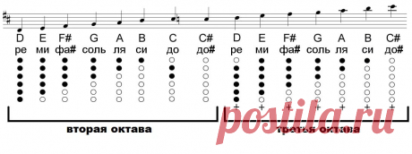 флейта ноты: 2 тыс изображений найдено в Яндекс.Картинках
