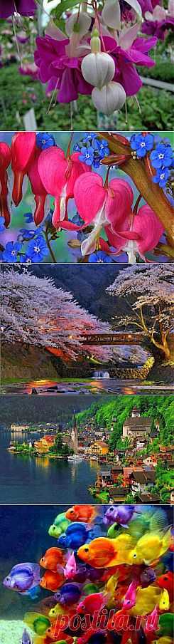Scrapbook Photos