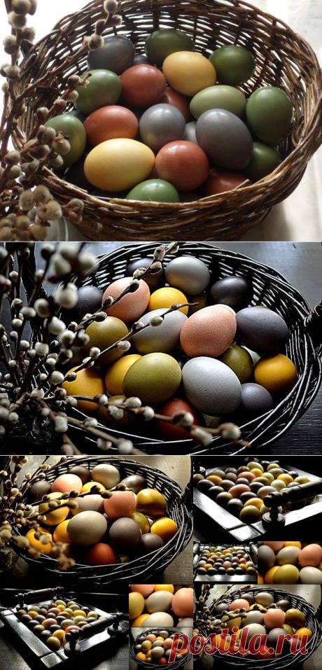 Натуральные красители для пасхальных яиц.