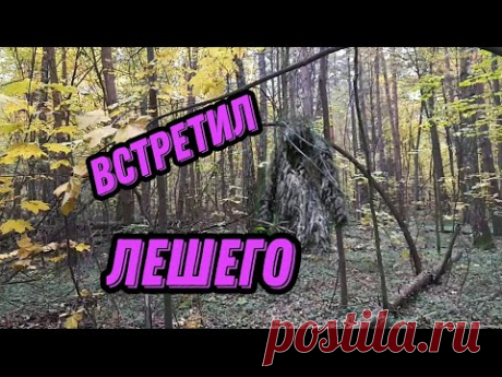 По следам Лешего,а нашли...