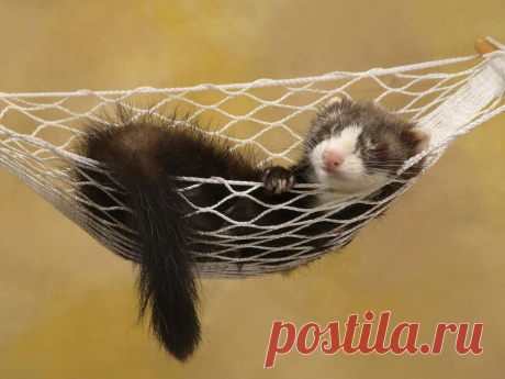 kartinki.me-2388.jpg (Изображение JPEG, 1024 × 768 пикселов) - Масштабированное (60%)