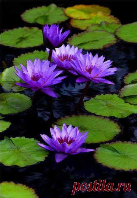 De alguns eu lembro com carinho, de outros eu jamais me esqueço