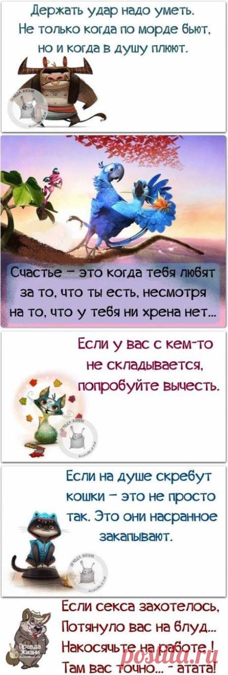Меткие фразы;)))