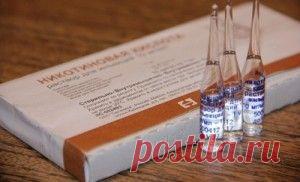 Маски с никотиновой кислотой: ускоряем рост волос раствором для инъекций | goldvolos