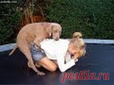 ПРИКОЛЫ 2013! ЛУЧШАЯ ПОДБОРКА НЕЛЕПЫХ ПРИКОЛОВ 2013!