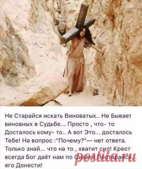 (1) +21...Прикольно... Юмор)🌶️🔥