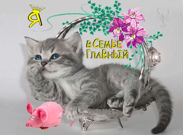 Я в семье главный!