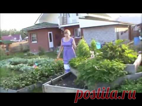 В гостях у Аркасовой Галины