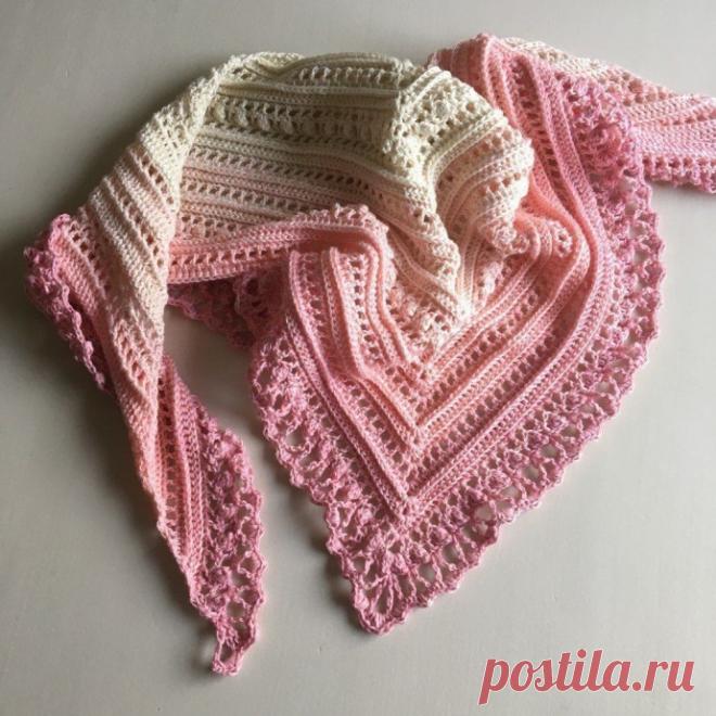 Красивый бактус - украшение для гардероба