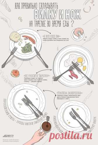 Как складывать вилку и нож на тарелке во время и после еды? Инфографика | Инфографика | Аргументы и Факты
