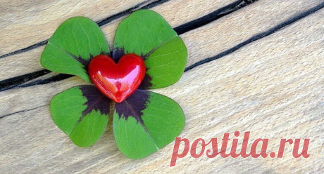 ЖЕНА И УДАЧА.
Говорят, если мужчина неуважительно относится к своей женщине, то от него отворачивается удача. Почему так происходит?

Женское творческое мышление многократно сильнее мужского, поэтому ее способность влиять на судьбу очень высока, как на свою собственную судьбу, так и на судьбу мужа..

Когда женщина испытывает наслаждение и счастье от отношений, ее мужчине начинает вести, перед ним открываются все двери и удача начинает следовать за ним по пятам. Потому что ...