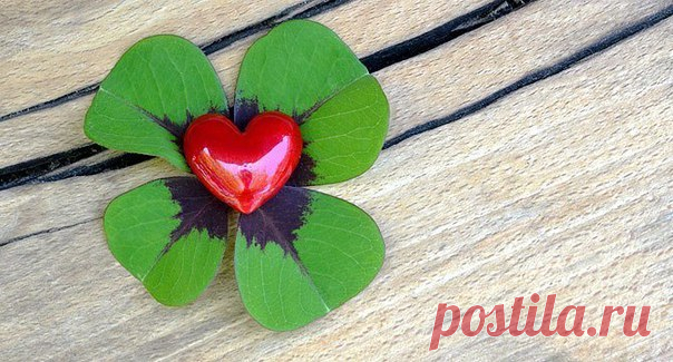 ЖЕНА И УДАЧА.
Говорят, если мужчина неуважительно относится к своей женщине, то от него отворачивается удача. Почему так происходит?

Женское творческое мышление многократно сильнее мужского, поэтому ее способность влиять на судьбу очень высока, как на свою собственную судьбу, так и на судьбу мужа..

Когда женщина испытывает наслаждение и счастье от отношений, ее мужчине начинает вести, перед ним открываются все двери и удача начинает следовать за ним по пятам. Потому что ...