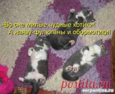 Мудрые и не очень, прикольные и всякие разные изречения, аткрытки....