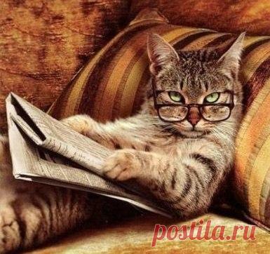 — А почему ты своего мужа называешь «кот ученый? » 
Он что, действительно такой умный? 
— Нет, просто он постоянно ходит налево, и при этом еще и сказки рассказывает...))