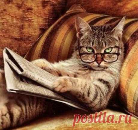 — А почему ты своего мужа называешь «кот ученый? » 
Он что, действительно такой умный? 
— Нет, просто он постоянно ходит налево, и при этом еще и сказки рассказывает...))