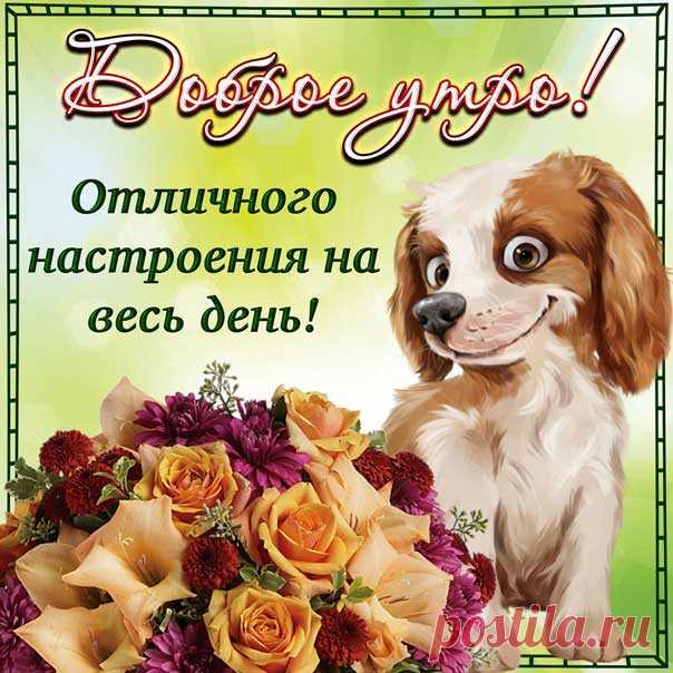 Доброе утро картинки с музыкой Мерцающие открытки утреннее пожелание со словами гифы