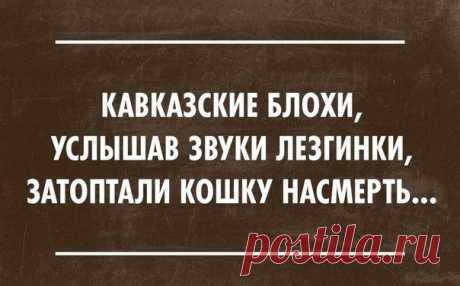 Море позитива! | Домашняя аптечка