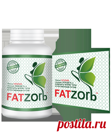 FATZorb – Сдвинь вес с 