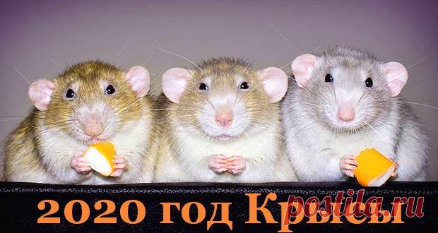 Новый 2020 год, когда наступает по восточному календарю