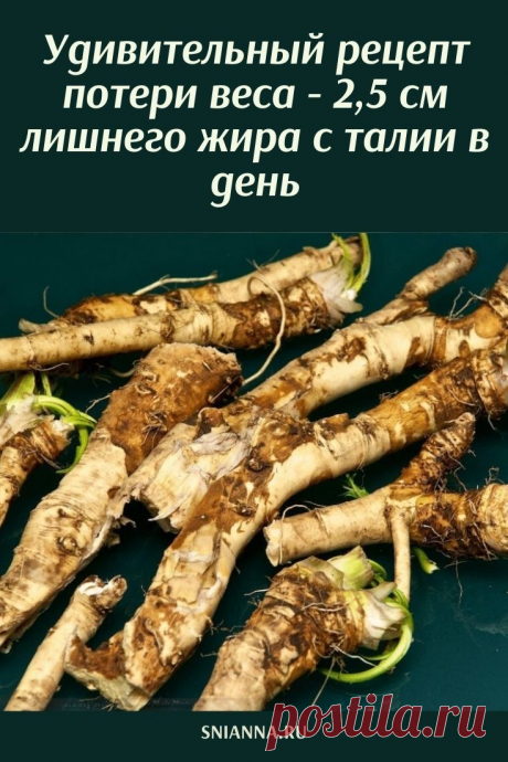 Удивительный рецепт потери веса

Это удивительный рецепт потери веса, который может убрать 2,5 см лишнего жира с талии в день.
Он не только сжигает брюшной жир и устраняет избыток воды из организма, но также чрезвычайно полезен для функции мозга, памяти, слуха и зрения ➡️ Кликайте на фото, чтобы прочитать полностью