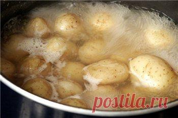 Цветы...Кормите их бананами.