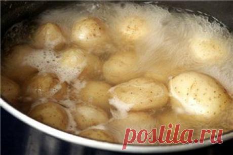 Цветы...Кормите их бананами.