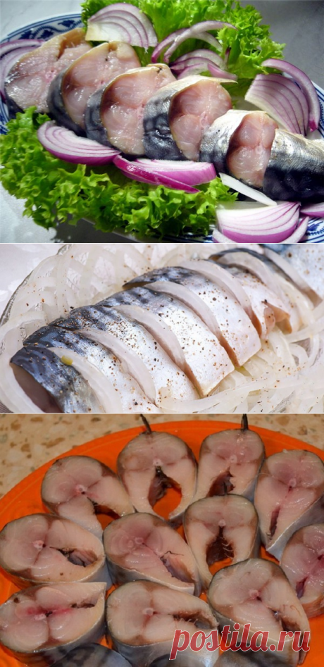 Как засолить скумбрию: самый удачный способ! Такую нежную и пикантную рыбу в магазине не купишь - Женский Журнал