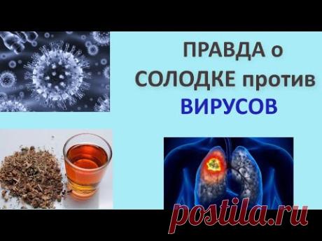 СОЛОДКА ПРИМЕНЕНИЕ ПРИ ВИРУСНОЙ ИНФЕКЦИИ