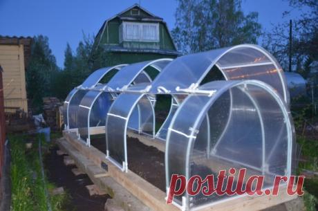 Теплицы из поликарбоната: виды, преимущества, составление чертежа, нюансы