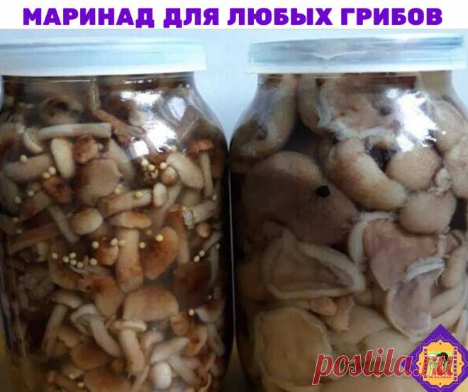 Ловите, хозяюшки вы мои!)Маринад для любых грибов.
Нам потребуется 

1 литр воды;
2 ст. л. сахара;
4 ч. л. соли;
3 шт. лаврового листа;
6 горошин душистого перца;
4 шт. гвоздики;
3 кусочка корицы (молотой ½ ч. л.) ;
3 ч. л. уксусной эссенции 70 %.

При использовании столового 5% уксуса необходимо взять 800 мл воды и 200 мл 5% уксуса. При использовании 9% уксуса - 890 мл воды и 110 мл 9% уксуса.

ПРИГОТОВЛЕНИЕ:

Вскипятить воду, добавить специи, проварить минутки три (уксус...