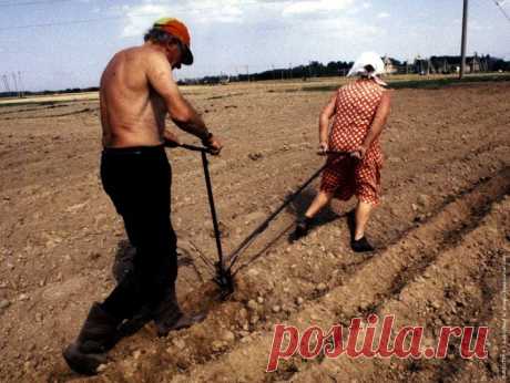 Плодородие почвы, удобрения, полив