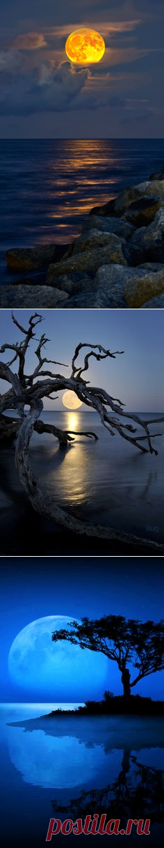 ✯ Full-Moon rising over Jupiter Inlet Beach | Lunas | Пляжи, Флорида и Луна