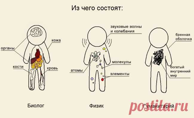 О чем шутят ученые