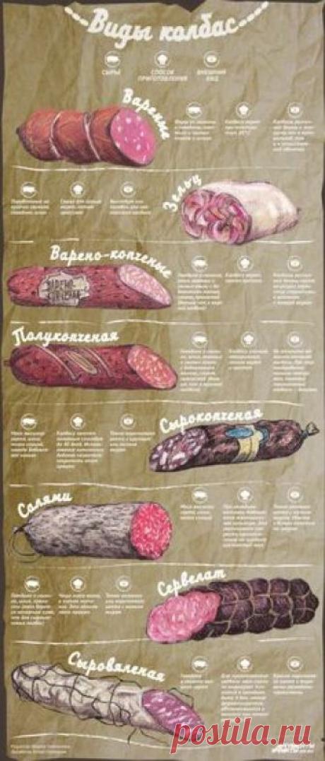Копченая и вяленая. Какими бывают колбасы и чем они отличаются