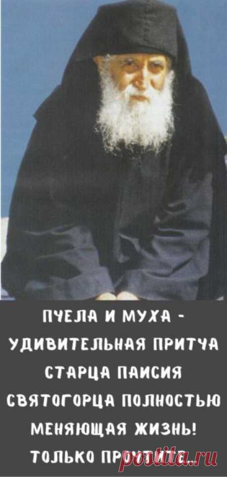 Пчела и муха - удивительная притча старца Паисия Святогорца полностью меняющая жизнь! Только прочтите… - Кулинария, красота, лайфхаки